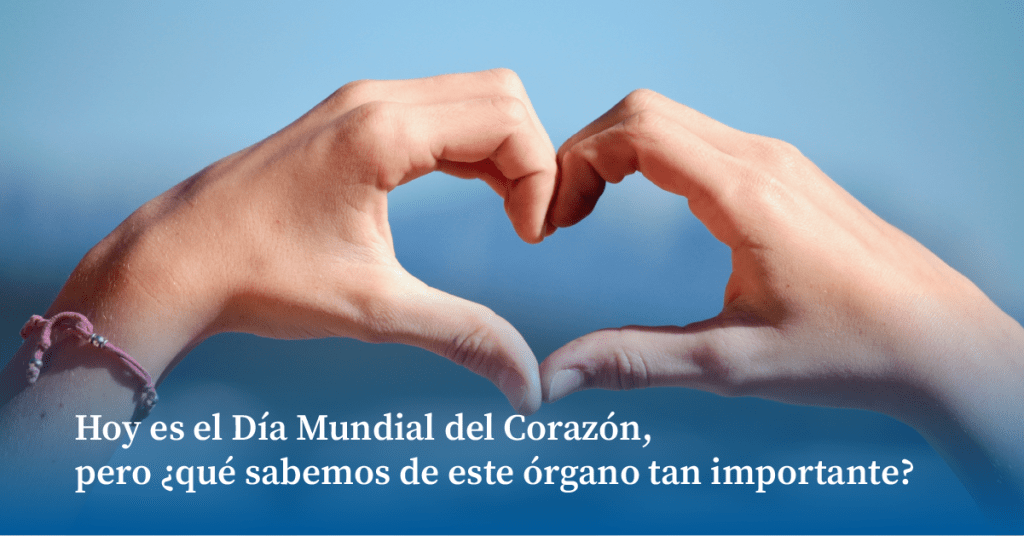 qué es el corazón