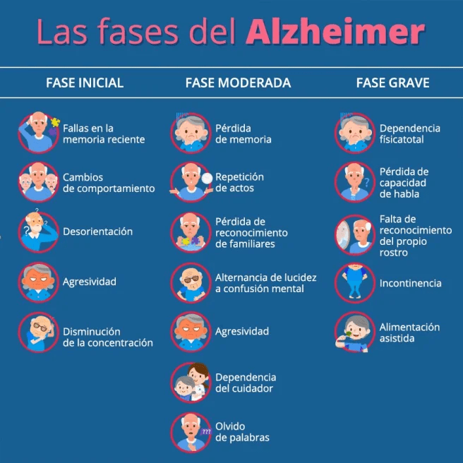 infografía fases del alzheimer
