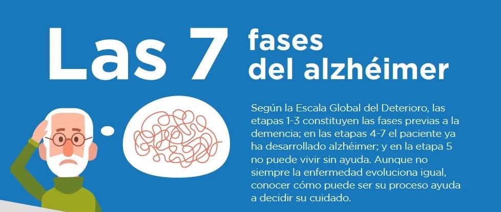 las 7 fases del alzhéimer infografía