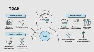 factores tda
